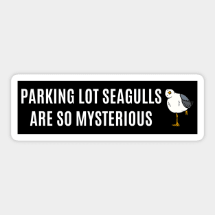 Parking lot seagulls are so mysterious ,Funny Bumper Sticker